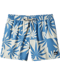 The Quiksilver Mens Everyday Mix Volley Shorts in Star Sapphire