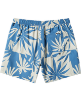 The Quiksilver Mens Everyday Mix Volley Shorts in Star Sapphire