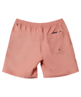 Solid Everyday Volley Shorts in Canyon Clay