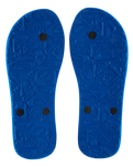 The Quiksilver Mens Molokai Core Flip Flops in Blue 1