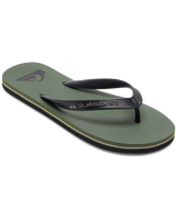 The Quiksilver Mens Molokai Core Flip Flops in Green