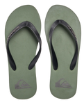 The Quiksilver Mens Molokai Core Flip Flops in Green