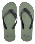 The Quiksilver Mens Molokai Core Flip Flops in Green