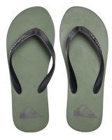 The Quiksilver Mens Molokai Core Flip Flops in Green