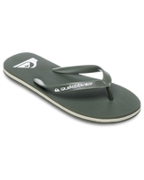 The Quiksilver Mens Molokai Core Flip Flops in Khaki