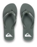 The Quiksilver Mens Molokai Core Flip Flops in Khaki