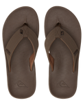 The Quiksilver Mens Rivi III Flip Flops in Brown