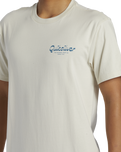 The Quiksilver Mens Island Mode T-Shirt in Silver Birch