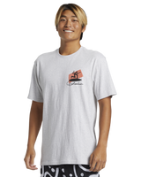 The Quiksilver Mens Surfer Moe T-Shirt in Snow Heather