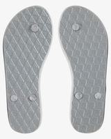 The Roxy Womens Viva IV Flip Flops in Metallic Silver