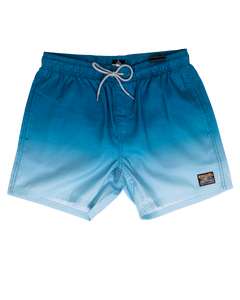 Alcion Volley Shorts in Washed Navy