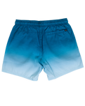 Alcion Volley Shorts in Washed Navy