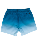 Alcion Volley Shorts in Washed Navy