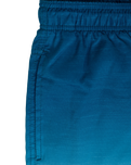 Alcion Volley Shorts in Washed Navy