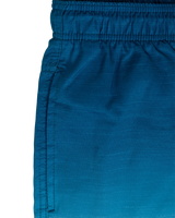 Alcion Volley Shorts in Washed Navy