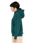 The Volcom Womens Nando Von Arb Hoodie in Ponderosa Pine