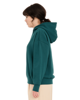 The Volcom Womens Nando Von Arb Hoodie in Ponderosa Pine