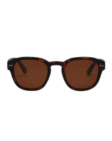 The I-Sea Barton Polarised Sunglasses in Tortoise & Brown