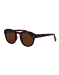 The I-Sea Barton Polarised Sunglasses in Tortoise & Brown