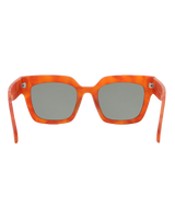 Belden Sunglasses in Brown Tortoise