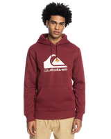 Big Logo Hoodie in Ruby Wine