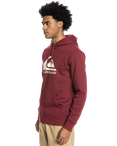 Big Logo Hoodie in Ruby Wine