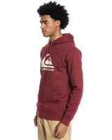 Big Logo Hoodie in Ruby Wine