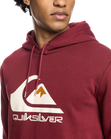 Big Logo Hoodie in Ruby Wine