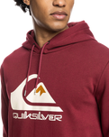 Big Logo Hoodie in Ruby Wine