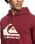 Big Logo Hoodie in Ruby Wine