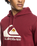 Big Logo Hoodie in Ruby Wine