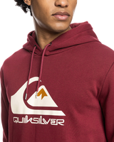 Big Logo Hoodie in Ruby Wine