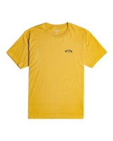 The Billabong Mens Arch Wave T-Shirt in Gold