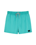 The Rip Curl Mens Offset Volley Shorts in Teal