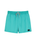 The Rip Curl Mens Offset Volley Shorts in Teal