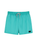 The Rip Curl Mens Offset Volley Shorts in Teal