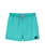 The Rip Curl Mens Offset Volley Shorts in Teal