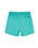 The Rip Curl Mens Offset Volley Shorts in Teal