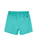 The Rip Curl Mens Offset Volley Shorts in Teal