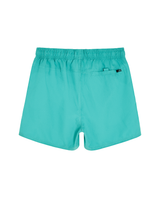The Rip Curl Mens Offset Volley Shorts in Teal