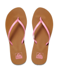 The Reef Womens Bliss Nights Flip Flops in Malibu