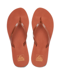 The Reef Womens Bliss Nights Flip Flops in Brunette