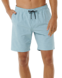 The Rip Curl Mens Boardwalk Jackson Volley Shorts in Dusty Blue