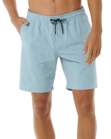 The Rip Curl Mens Boardwalk Jackson Volley Shorts in Dusty Blue