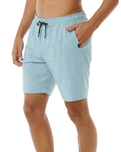 The Rip Curl Mens Boardwalk Jackson Volley Shorts in Dusty Blue