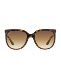 Cats 1000 Sunglasses in Assorted