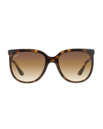 Cats 1000 Sunglasses in Assorted