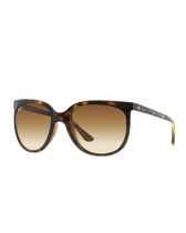 Cats 1000 Sunglasses in Assorted