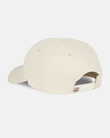 The Dickies Mens Hardwick Baseball Cap in Whitecap Grey