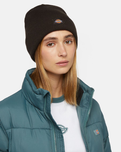 The Dickies Womens Gibsland Beanie in Dark Brown